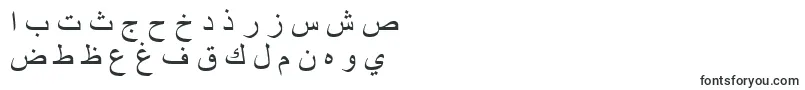 TimesNewRoman Font – Arabic Fonts